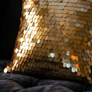 20x20 pailette cushion