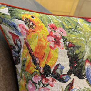 macaw pillow